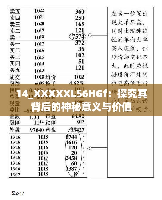 14_XXXXXL56HGf：探究其背后的神秘意义与价值