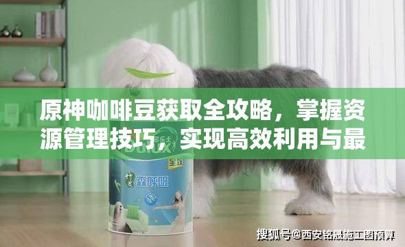 原神咖啡豆获取全攻略，掌握资源管理技巧，实现高效利用与最大化价值