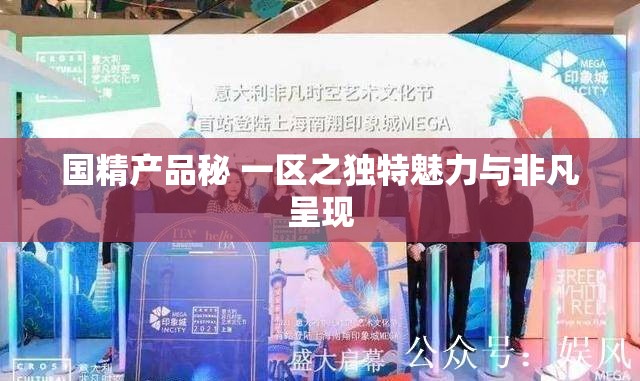 国精产品秘 一区之独特魅力与非凡呈现