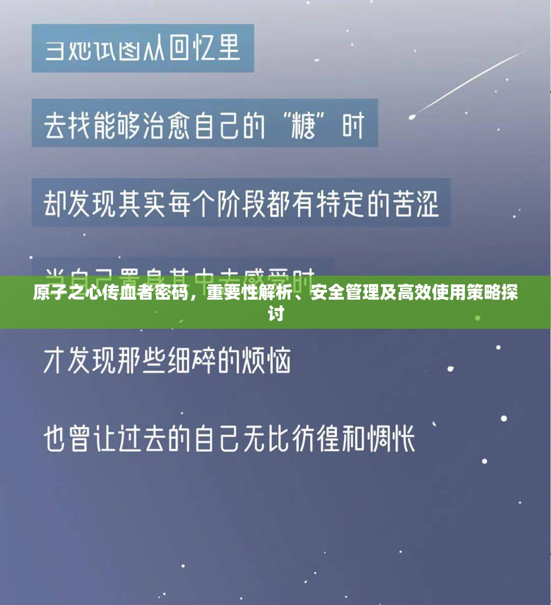 原子之心传血者密码，重要性解析、安全管理及高效使用策略探讨