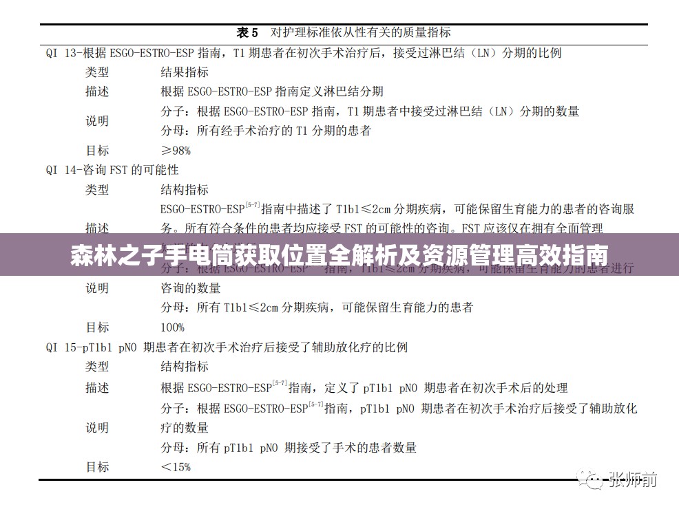 森林之子手电筒获取位置全解析及资源管理高效指南