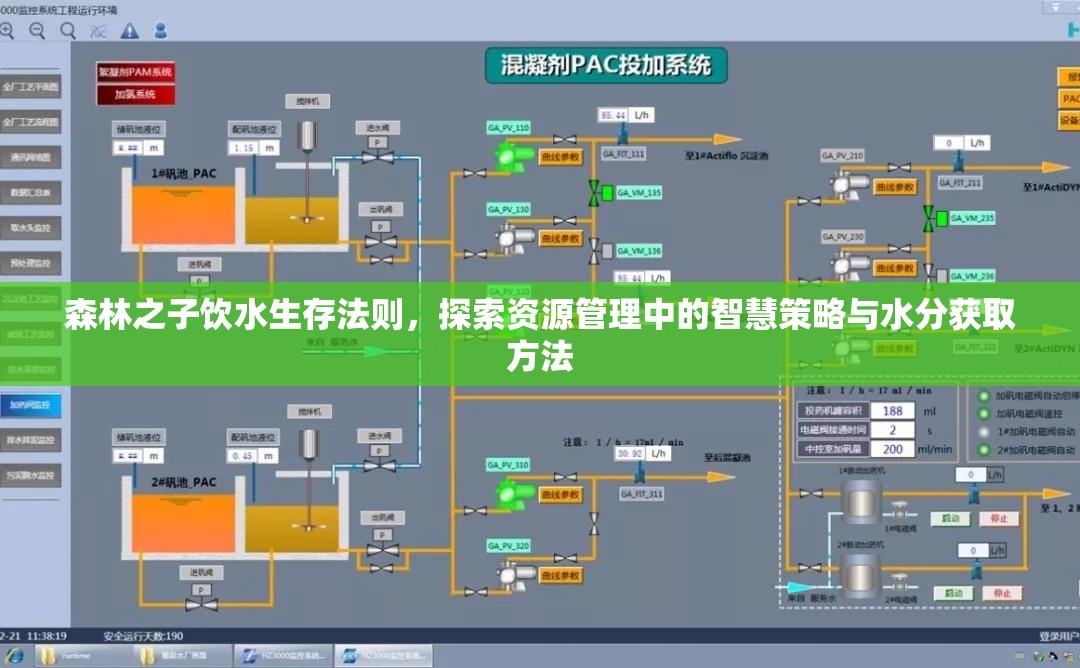 森林之子饮水生存法则，探索资源管理中的智慧策略与水分获取方法