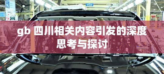 gb 四川相关内容引发的深度思考与探讨