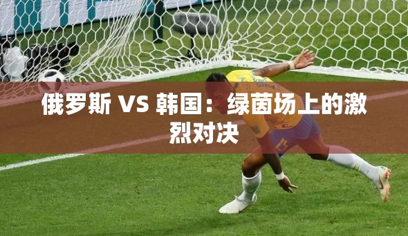 俄罗斯 VS 韩国：绿茵场上的激烈对决