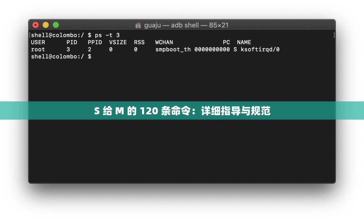 S 给 M 的 120 条命令：详细指导与规范