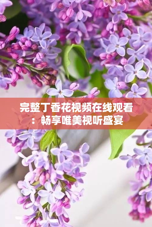 完整丁香花视频在线观看：畅享唯美视听盛宴