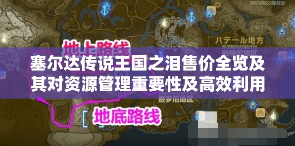 塞尔达传说王国之泪售价全览及其对资源管理重要性及高效利用策略解析