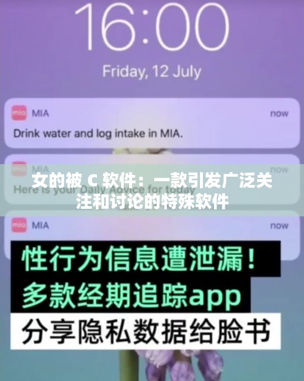 女的被 C 软件：一款引发广泛关注和讨论的特殊软件