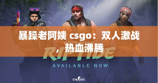 暴躁老阿姨 csgo：双人激战，热血沸腾