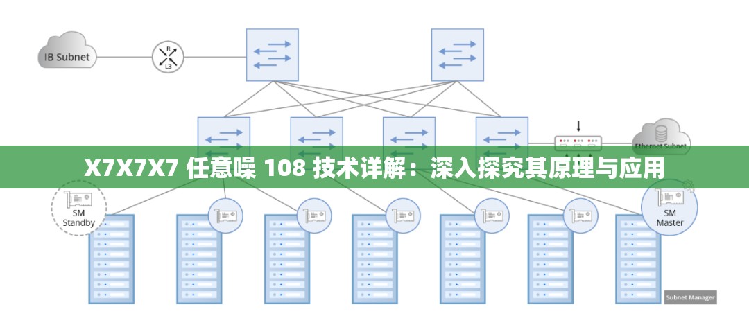 X7X7X7 任意噪 108 技术详解：深入探究其原理与应用