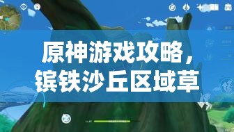 原神游戏攻略，镔铁沙丘区域草神瞳位置全面详细揭秘