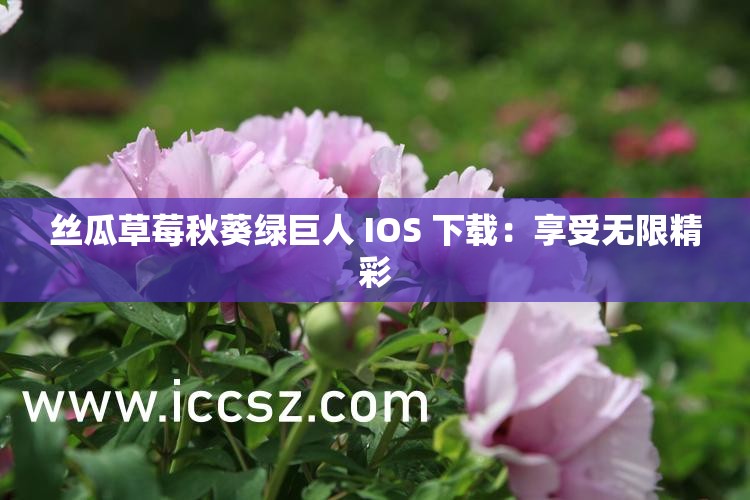 丝瓜草莓秋葵绿巨人 IOS 下载：享受无限精彩