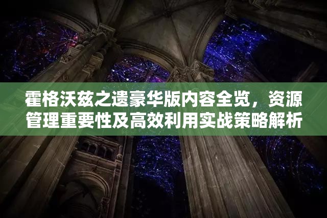 霍格沃兹之遗豪华版内容全览，资源管理重要性及高效利用实战策略解析