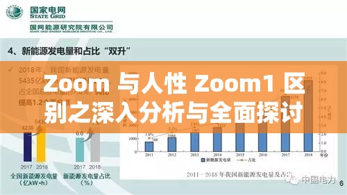 Zoom 与人性 Zoom1 区别之深入分析与全面探讨