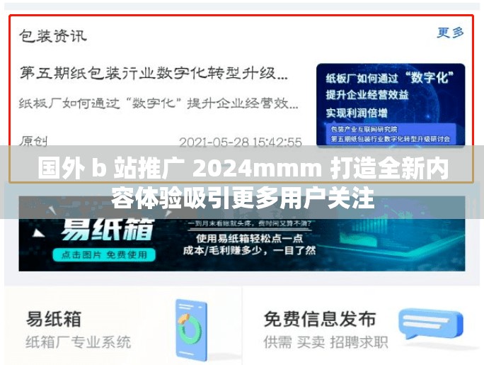 国外 b 站推广 2024mmm 打造全新内容体验吸引更多用户关注