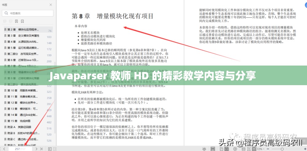 Javaparser 教师 HD 的精彩教学内容与分享