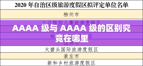 AAAA 级与 AAAA 级的区别究竟在哪里