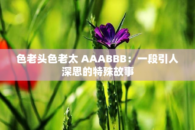 色老头色老太 AAABBB：一段引人深思的特殊故事