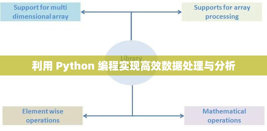 利用 Python 编程实现高效数据处理与分析