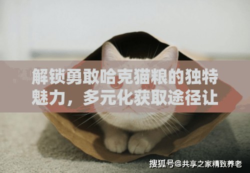 解锁勇敢哈克猫粮的独特魅力，多元化获取途径让养猫生活更加轻松无忧