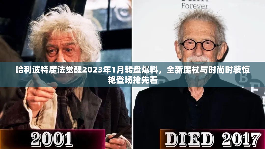 哈利波特魔法觉醒2023年1月转盘爆料，全新魔杖与时尚时装惊艳登场抢先看