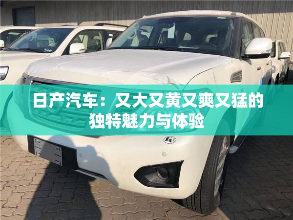 日产汽车：又大又黄又爽又猛的独特魅力与体验