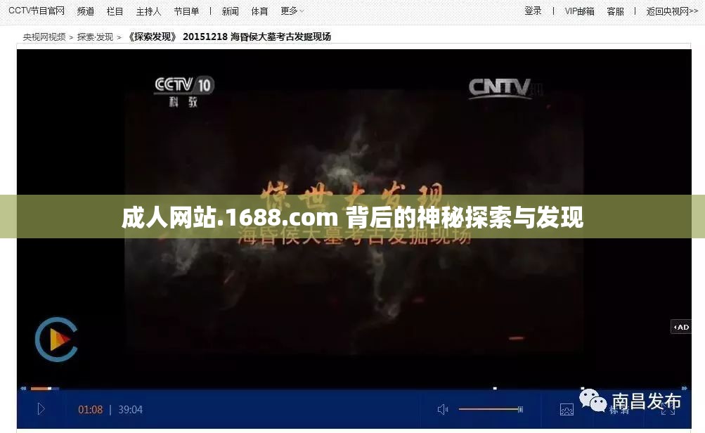 成人网站.1688.com 背后的神秘探索与发现