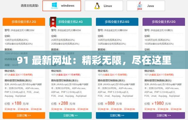 91 最新网址：精彩无限，尽在这里