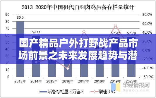 国产精品户外打野战产品市场前景之未来发展趋势与潜力分析