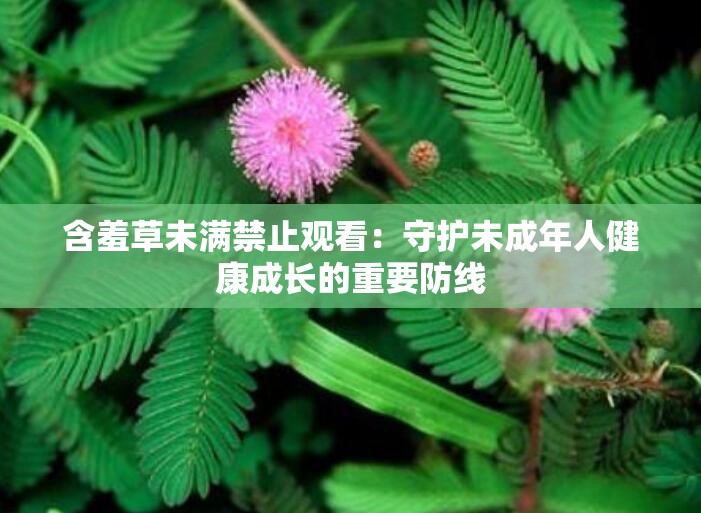 含羞草未满禁止观看：守护未成年人健康成长的重要防线