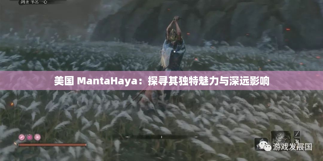 美国 MantaHaya：探寻其独特魅力与深远影响