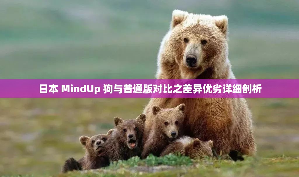 日本 MindUp 狗与普通版对比之差异优劣详细剖析