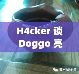 H4cker 谈 Doggo 亮龙龟：这背后的原因和影响究竟如何