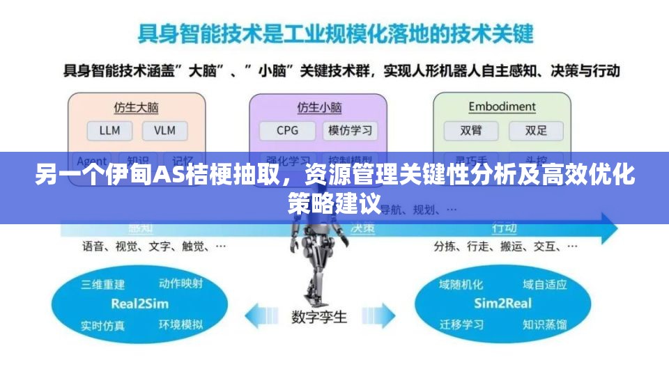 另一个伊甸AS桔梗抽取，资源管理关键性分析及高效优化策略建议