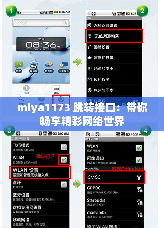 miya1173 跳转接口：带你畅享精彩网络世界