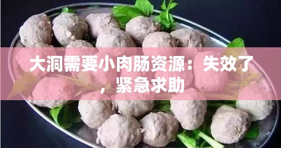 大洞需要小肉肠资源：失效了，紧急求助