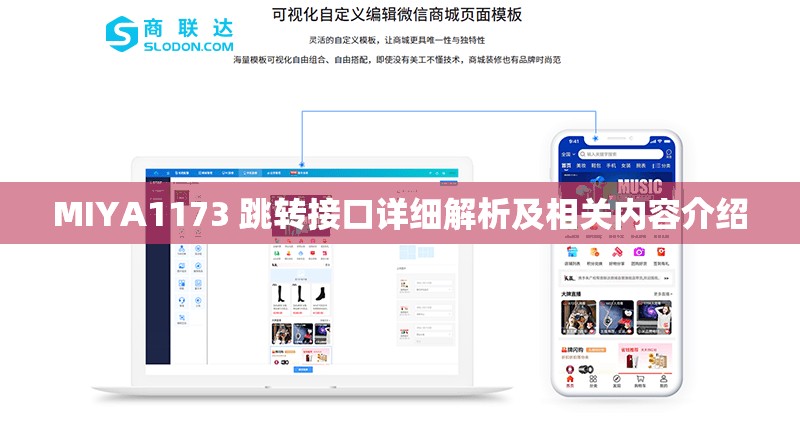 MIYA1173 跳转接口详细解析及相关内容介绍