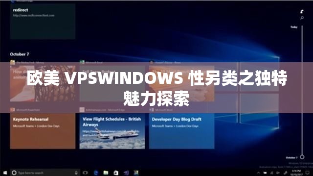 欧美 VPSWINDOWS 性另类之独特魅力探索