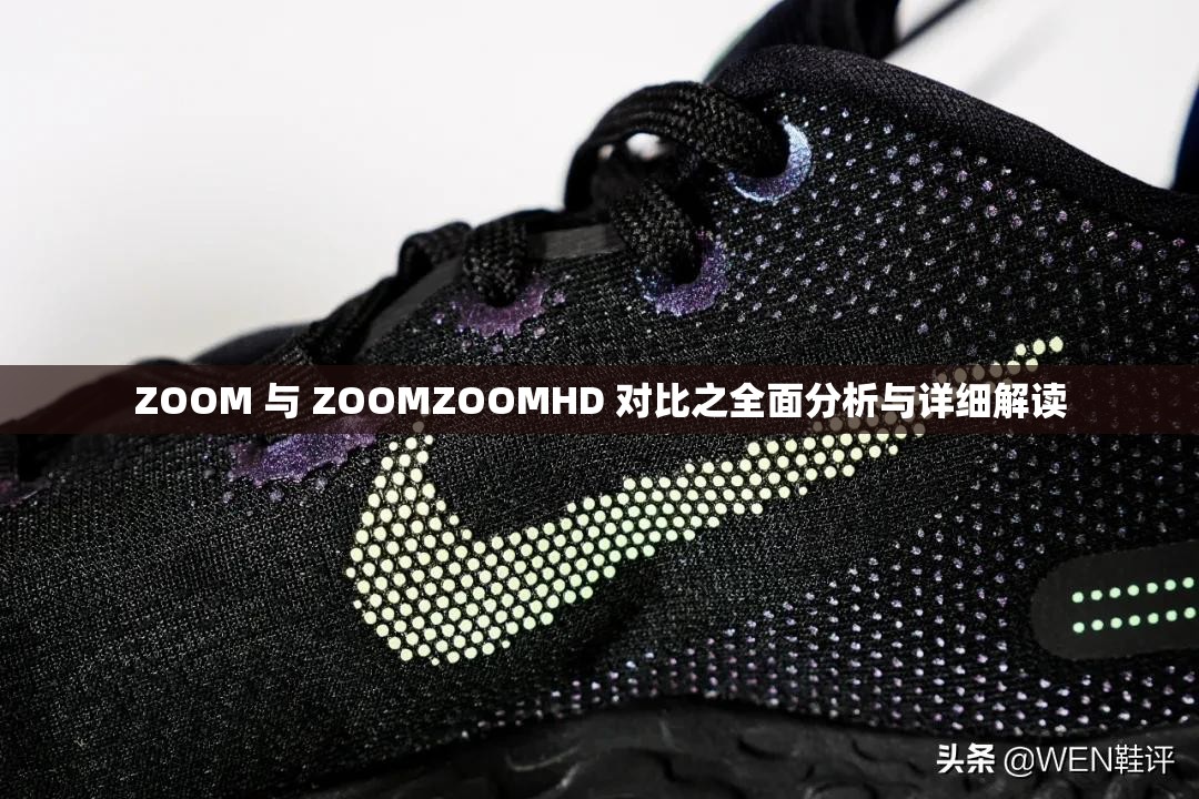 ZOOM 与 ZOOMZOOMHD 对比之全面分析与详细解读