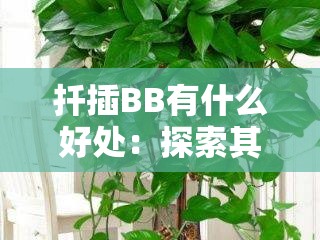 扦插BB有什么好处：探索其在植物繁殖中的重要意义与应用价值