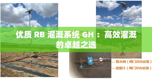 优质 RB 灌溉系统 GH ：高效灌溉的卓越之选