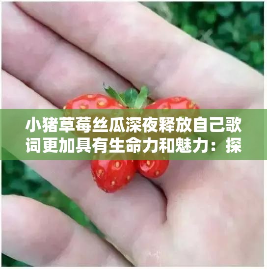 小猪草莓丝瓜深夜释放自己歌词更加具有生命力和魅力：探索其中的艺术奥秘与情感力量