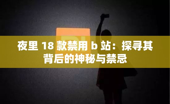 夜里 18 款禁用 b 站：探寻其背后的神秘与禁忌