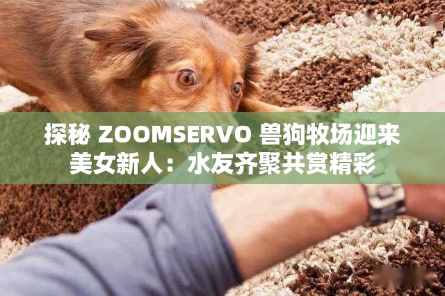 探秘 ZOOMSERVO 兽狗牧场迎来美女新人：水友齐聚共赏精彩