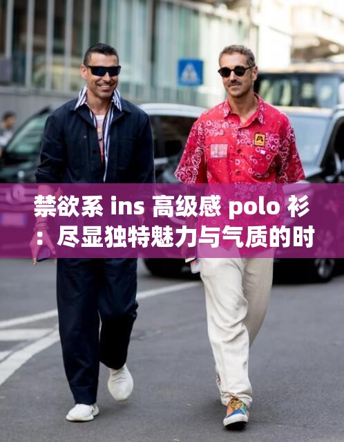 禁欲系 ins 高级感 polo 衫：尽显独特魅力与气质的时尚必备单品