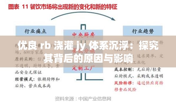 优良 rb 浇灌 jy 体系沉浮：探究其背后的原因与影响