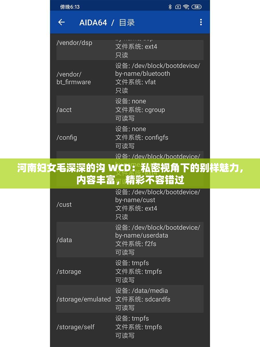 河南妇女毛深深的沟 WCD：私密视角下的别样魅力，内容丰富，精彩不容错过