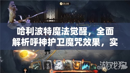 哈利波特魔法觉醒，全面解析呼神护卫魔咒效果，实现资源管理高效利用与价值最大化