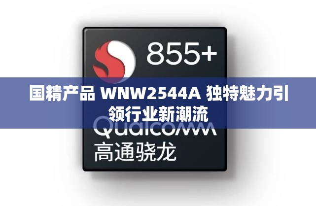 国精产品 WNW2544A 独特魅力引领行业新潮流