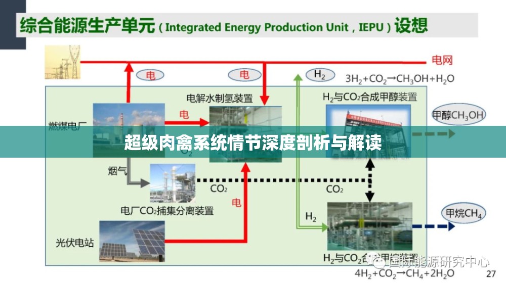 超级肉禽系统情节深度剖析与解读